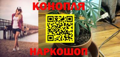 стаф Волжский