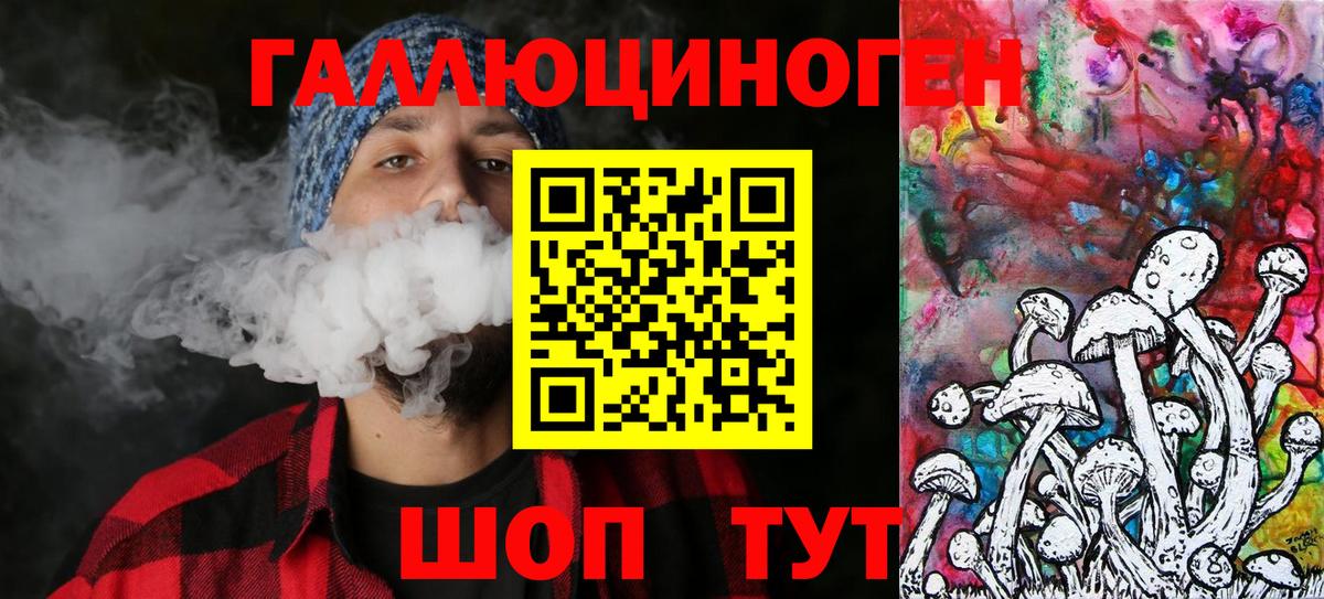 Курск  купить наркотики сайты  Вход с VPN  Галлюциногенные грибы ЛСД  Псилоцибиновые грибы Psilocybe 