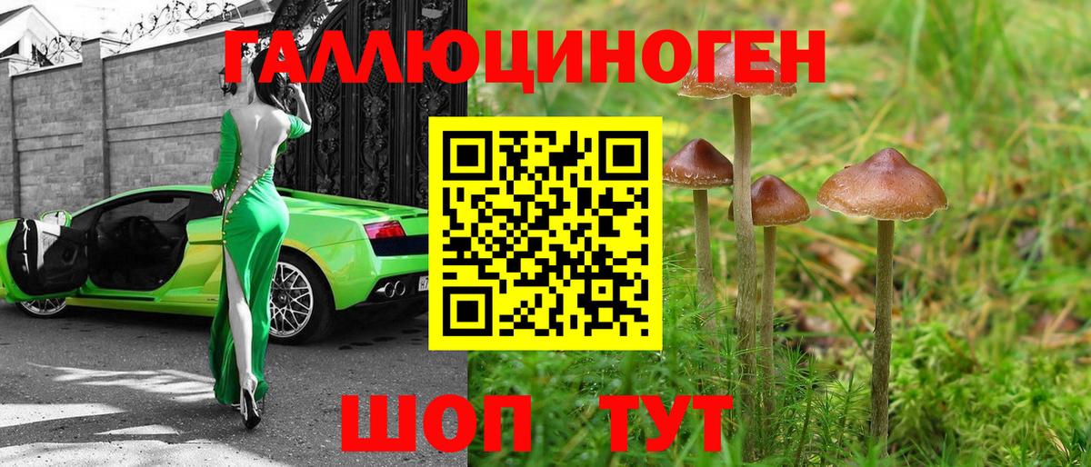 Галлюциногенные грибы мицелий Курск